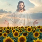 Sunflower field Jesus open arms JPP