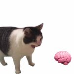 Why is it always thinking BLANK