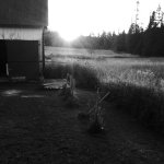 Farm Mirror Image Mode