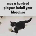 may a hundred plagues befall your bloodline