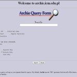 Archie (search engine) worldwideweb meme