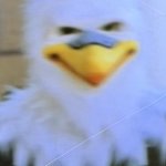 Eagle mascot freaky AHHH stare
