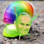 papież ślimak na kwasie
