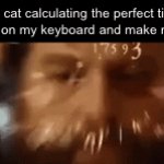 Calculated | My cat calculating the perfect time to jump on my keyboard and make me lose: | image tagged in gifs,funny,funny memes,memes,relatable | made w/ Imgflip video-to-gif maker
