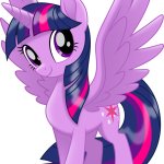Twilight sparkle