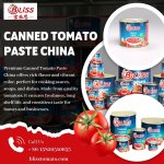 Canned Tomato Paste China