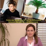 Just put a tree on your head at this point | image tagged in memes,they're the same picture,meme,funny,funny memes,funny meme | made w/ Imgflip meme maker