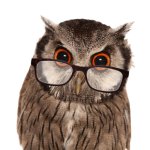 Biblo The Elbaph Owl