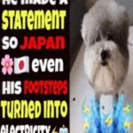 he made a statement so japan