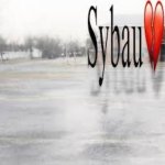 Sybau