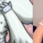 flightreacts reshiram