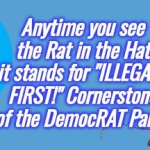 Rat in the Hat Democrat sombrero