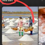 sea salt