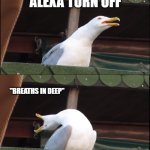 Inhaling Seagull | Alexa playing music; alexa turn off; "breaths in deep"; alexa turn the hack off | image tagged in memes,inhaling seagull | made w/ Imgflip meme maker