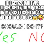 Blank White Template | if I get 200 views I'll secretly dump trash on my sisters head and film it for you guys😱🤪🤢; should I do it? | image tagged in blank white template | made w/ Imgflip meme maker