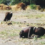 Vulture and Child template