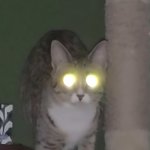 That one a**hole with brights on