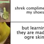 Shrek likes and dislikes | shrek complimenting
 my shoes; but learning they are made of
 ogre skins | image tagged in shrek likes and dislikes | made w/ Imgflip meme maker
