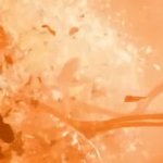 terminator nuke GIF Template