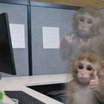 Monkey work