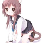 Anime Catgirl