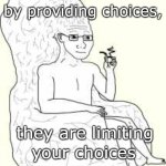 limiting choices | by providing choices, they are limiting; your choices | image tagged in big brain wojak | made w/ Imgflip meme maker