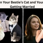 When You And Your Besties Cats are getting married