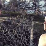 Krog Not Perfect System