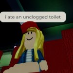 i ate an unclogged toilet
