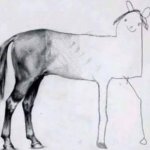 drawing horse
