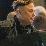 Elon's new cut
