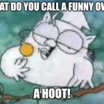 A funny owl joke | What do you call a funny owl? A hoot! | image tagged in tootsie pop owl,jokes,joke,hoot | made w/ Imgflip meme maker