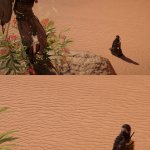 Lady of the quicksand, give me your wisdom