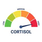 High Cortisol