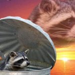 Raccoon trash can