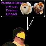 Teacup Chow