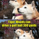 Tiger Woods | What’s the difference between a golf ball and an SUV? Tiger Woods can drive a golf ball 300 yards | image tagged in bad pun dogs,tiger woods | made w/ Imgflip meme maker
