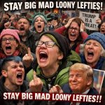 "Stay big mad loony lefties" Angry crazy liberals and democrats