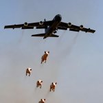 Pig bomber