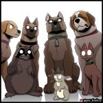 Animals staring at rabbit