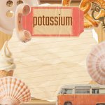 potASSium (stupid) announcement temp made by shira