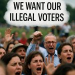 Illegal voters
