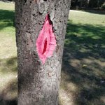 Funny tree