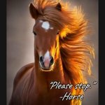 "Please stop" -Horse