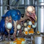 Start chicken GIF Template