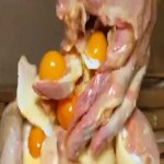 W chicken GIF Template