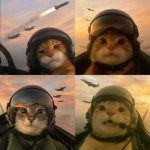 Pilot Cats