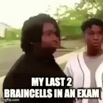 Braincells. AHAHAHHAHAHA | My last 2 braincells in an exam | image tagged in gifs,braincells,memes,invisible | made w/ Imgflip video-to-gif maker