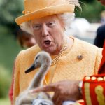 Trump as Queen