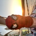 Spider-Man Vacation Sunset meme